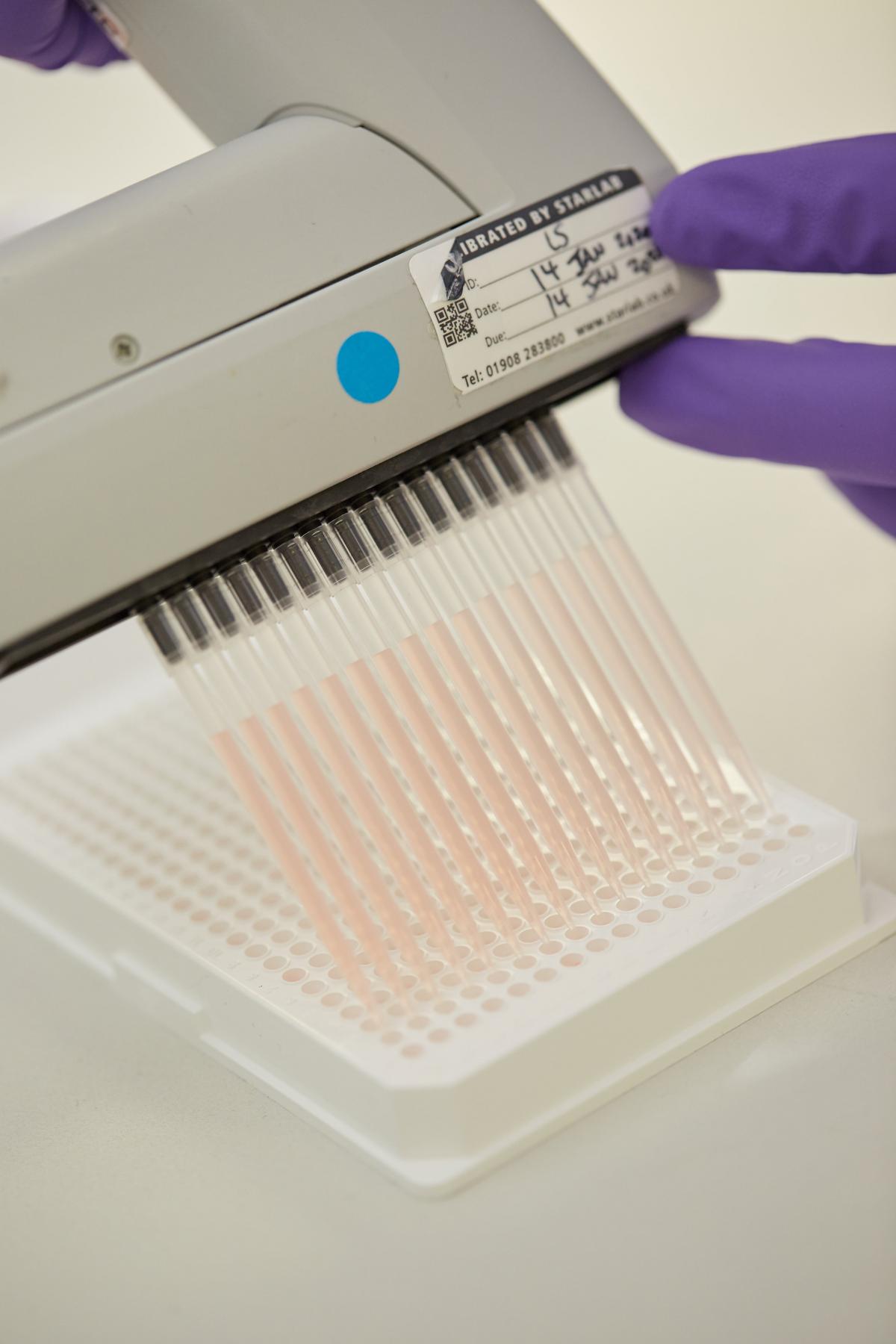 Assay Development Bespoke Assay Design Domainex